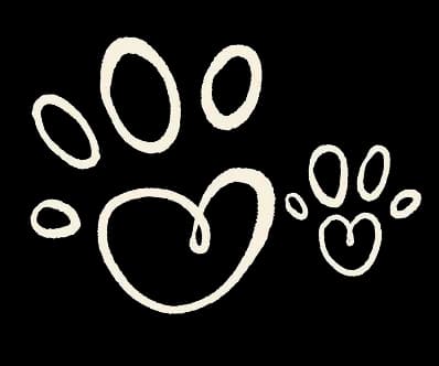 Plus de 60 000 parents heureux