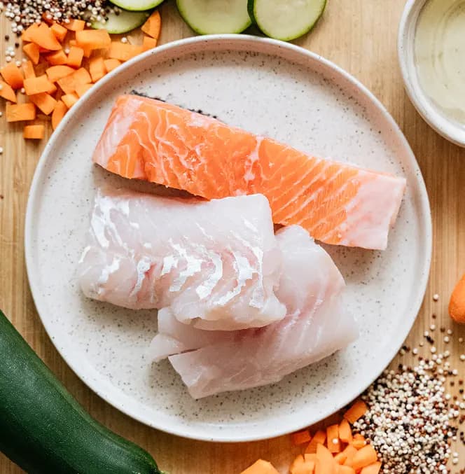 Fish dog recipe background