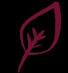 Pas de conservateurs