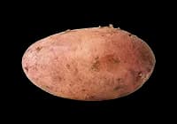 Ingredient 3