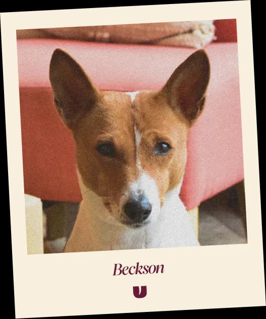 Beckson Polaroid 2