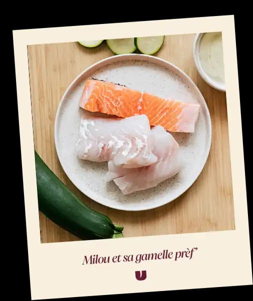 Fish cat recipe