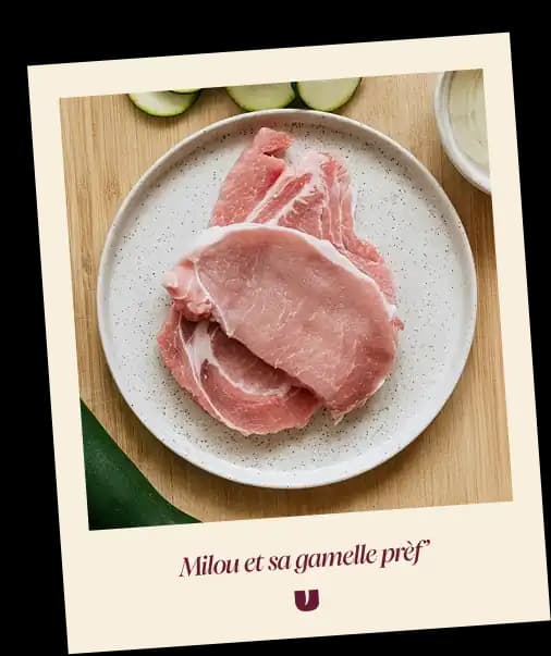 Pork cat recipe