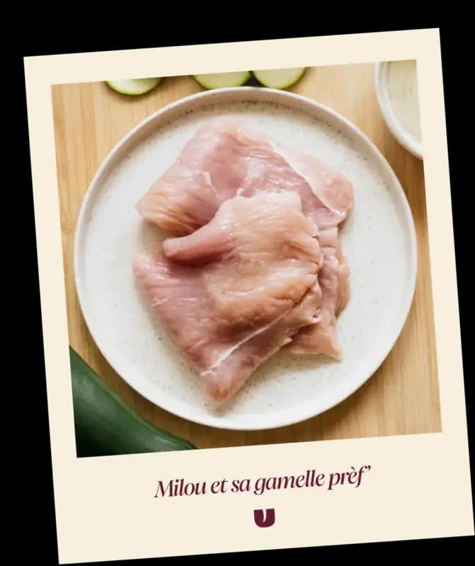 Turkey cat recipe