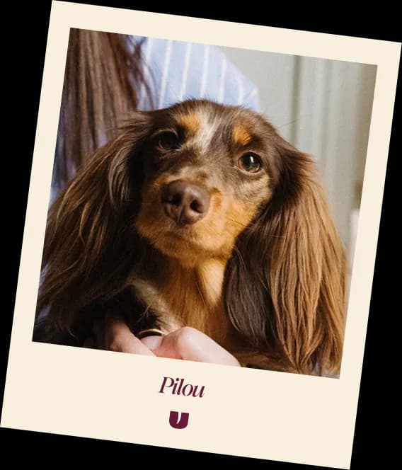 Pilou Polaroid
