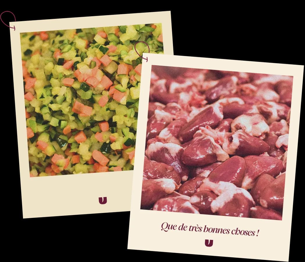 Tout commence avec de bons ingrédients !