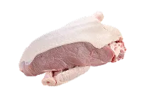 Canard