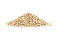 Quinoa