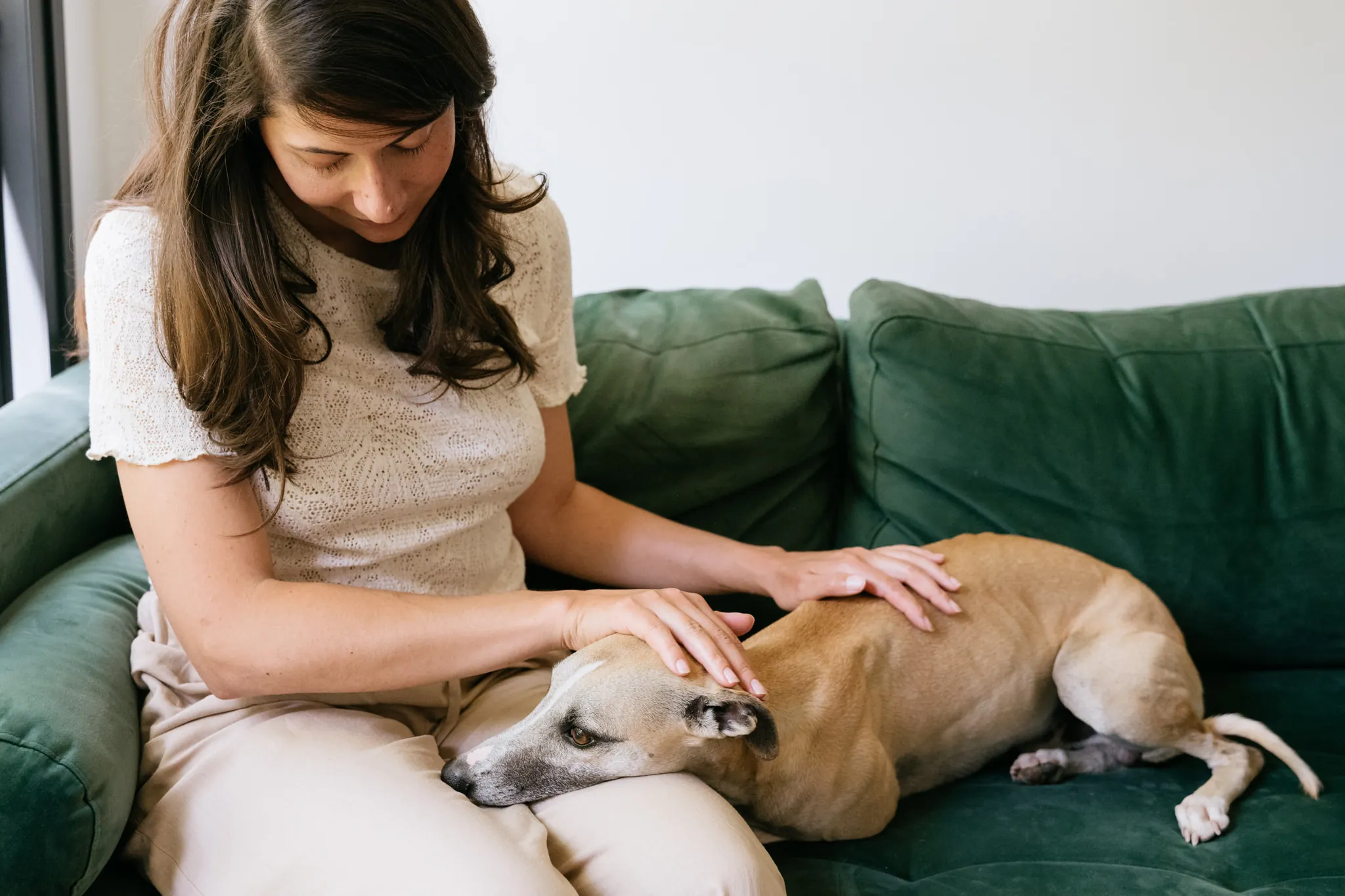 Dog product